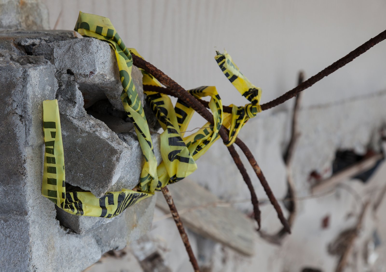 art-of-sandy-mo-seagate 2-15.jpg